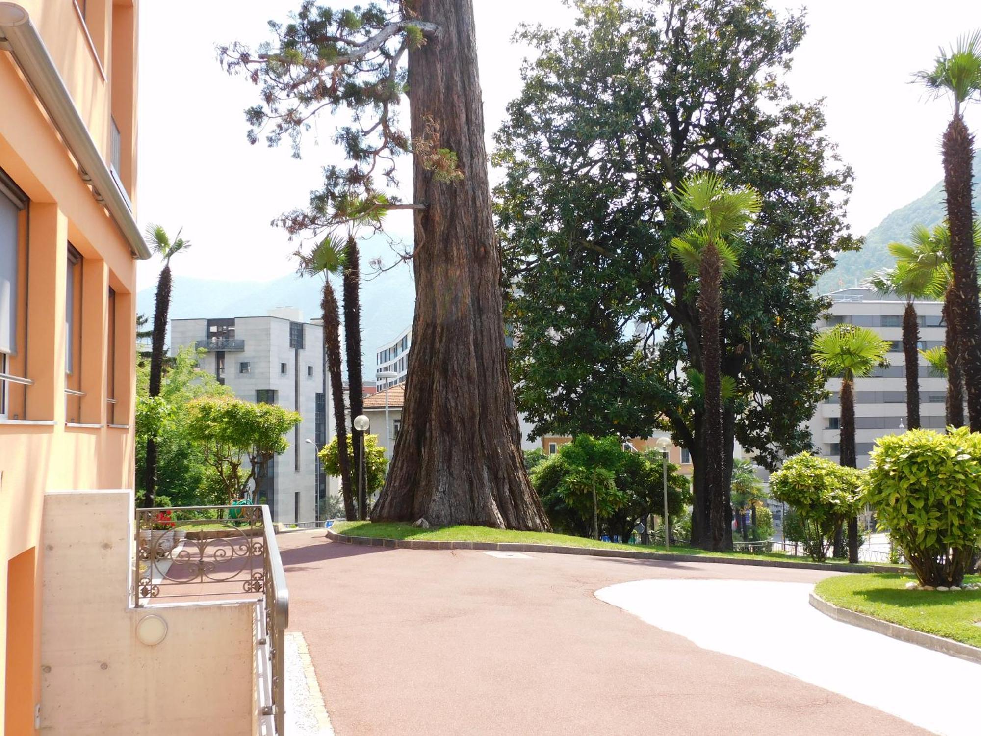 Casa Santa Birgitta Hotel Lugano Luaran gambar